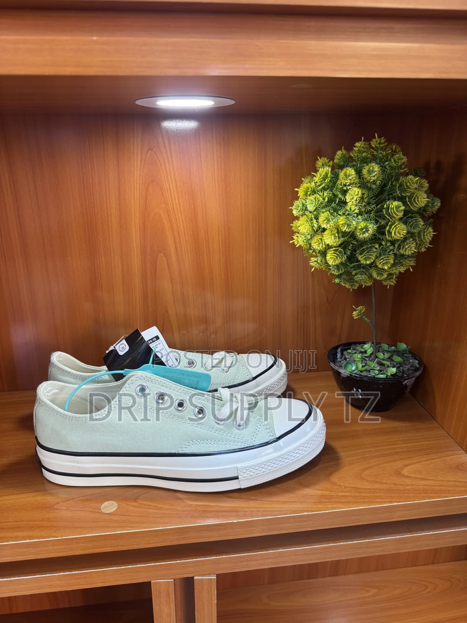 Converse Chuck 70 Low 