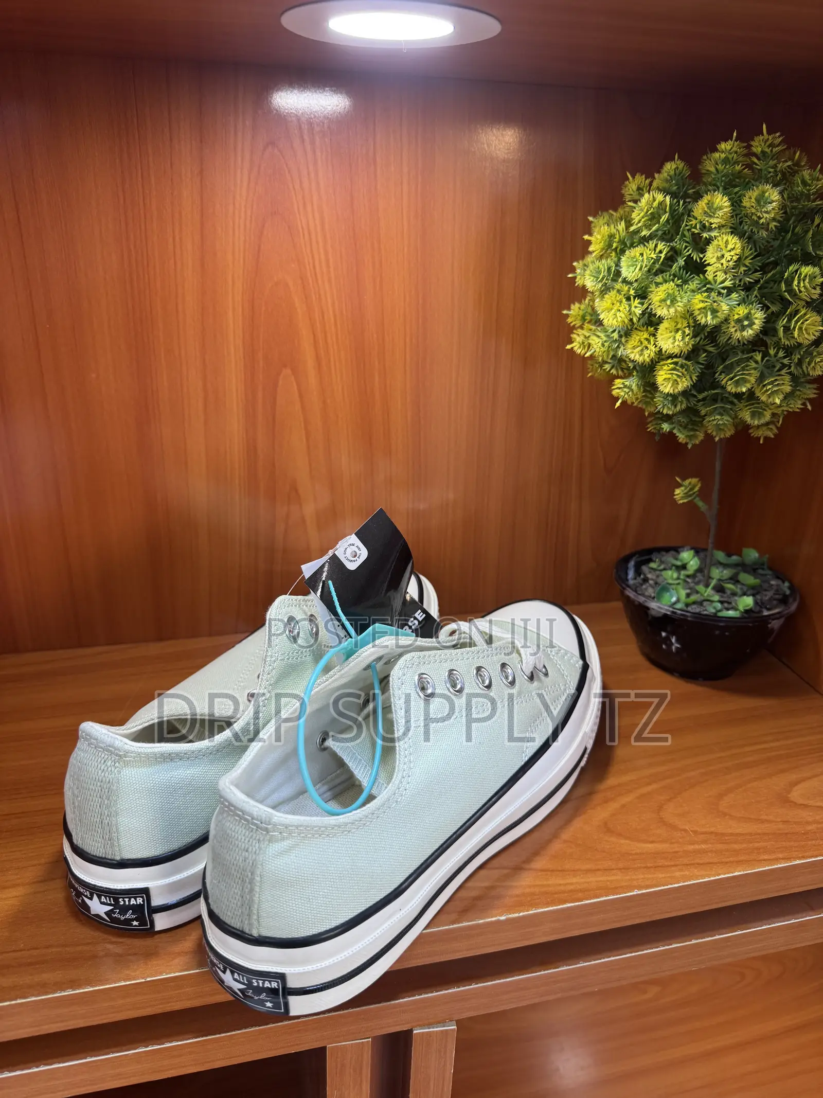 Converse Chuck 70 Low 
