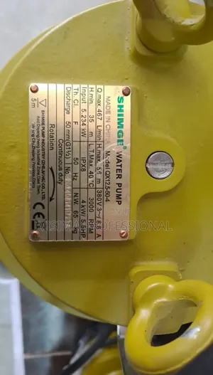 5.5 HP Shimge Sewage Pump