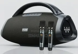 W-King D20 Karaoke Bluetooth Speaker With Wireless Microphone