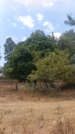 Kiwanja Kinauzwa Mwanza Busweru