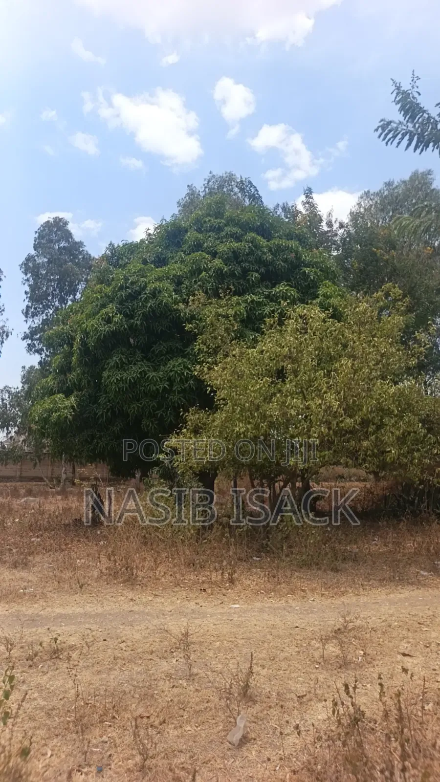 Kiwanja Kinauzwa Mwanza Busweru