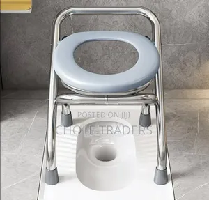 Foldable Stainless Steel Potty Seat / Chair