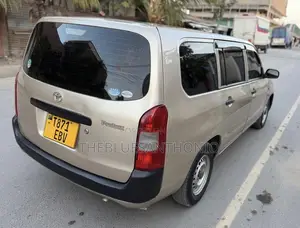 Toyota Probox 2011 Gold