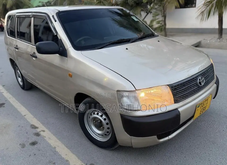 Toyota Probox 2011 Gold