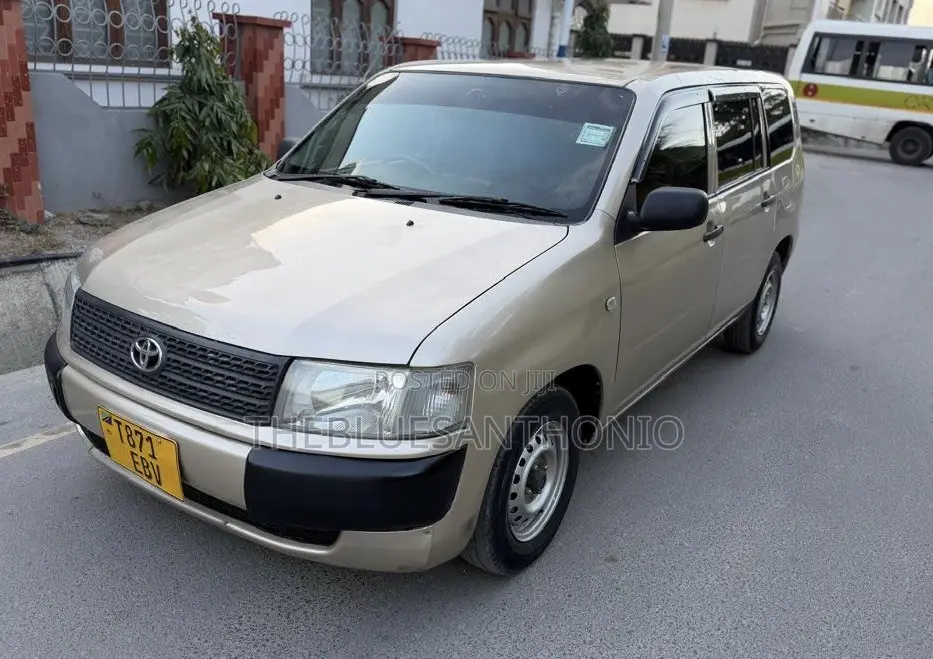 Toyota Probox 2011 Gold