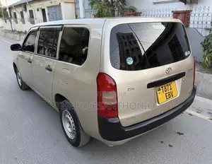 Toyota Probox 2011 Gold