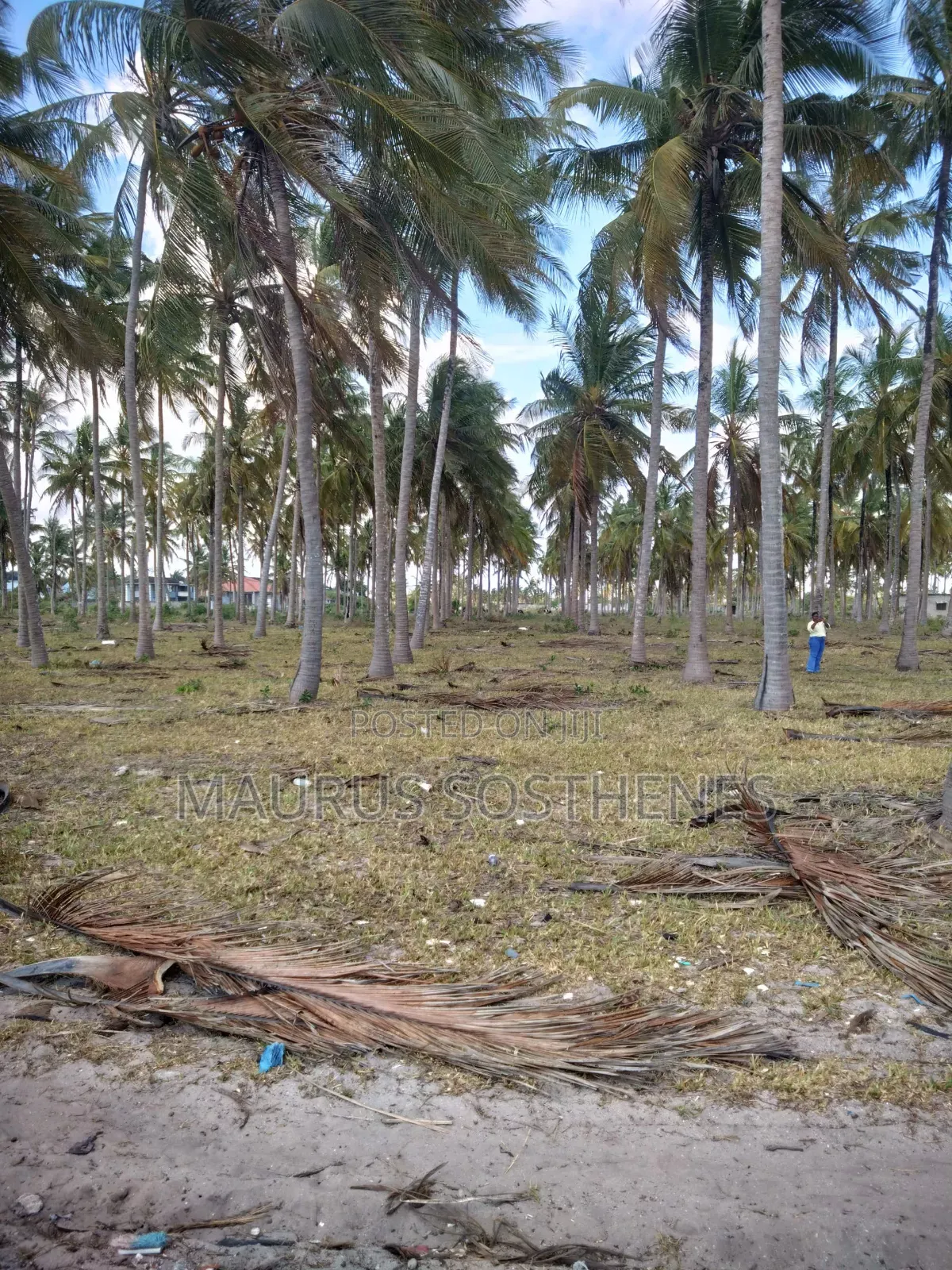 Beach Land for Sale USD 3,500,000 at Dege Kigamboni, Dar Es Salaam