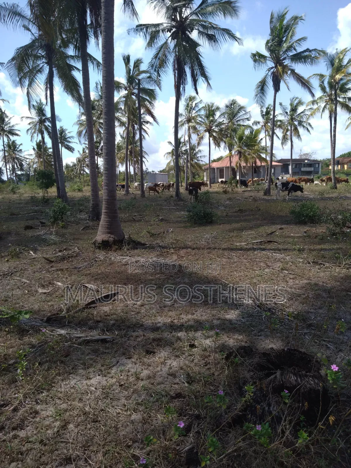 Beach Land for Sale USD 3,500,000 at Dege Kigamboni, Dar Es Salaam