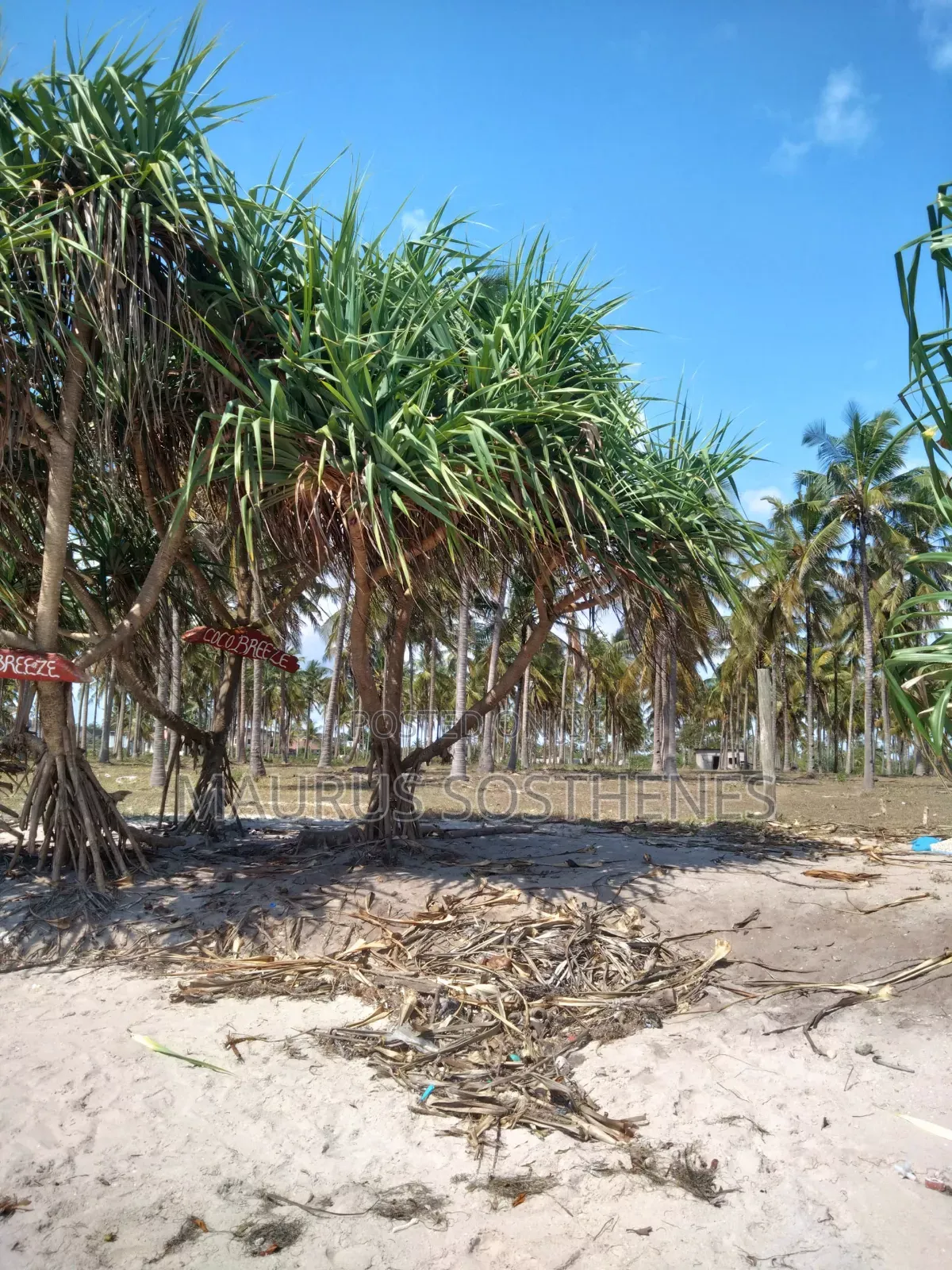 Beach Land for Sale USD 3,500,000 at Dege Kigamboni, Dar Es Salaam