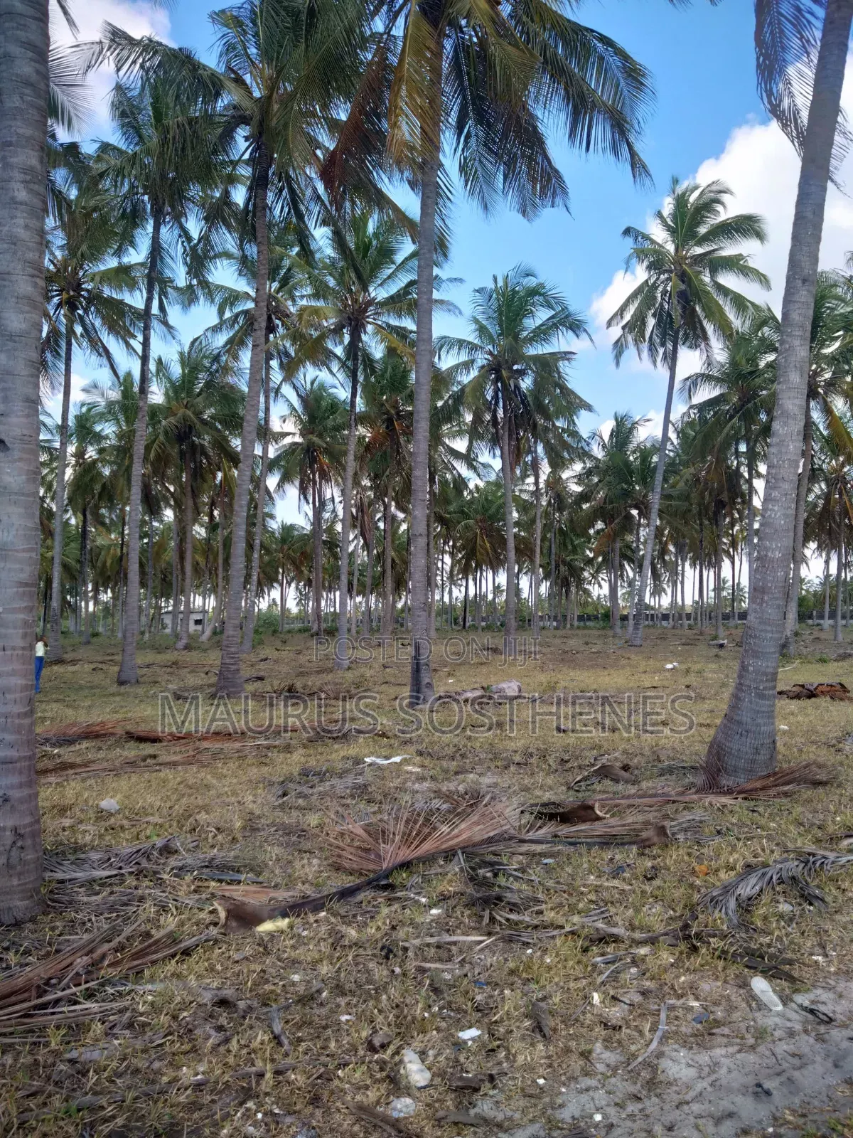 Beach Land for Sale USD 3,500,000 at Dege Kigamboni, Dar Es Salaam