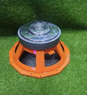 A 18-Inch Professional Naked Woofer Speaker