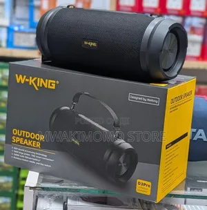W-King D3Pro Outdoor Speaker