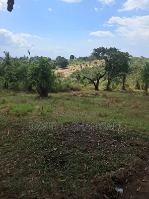 Viwanja - Kibaha - Mbwawa