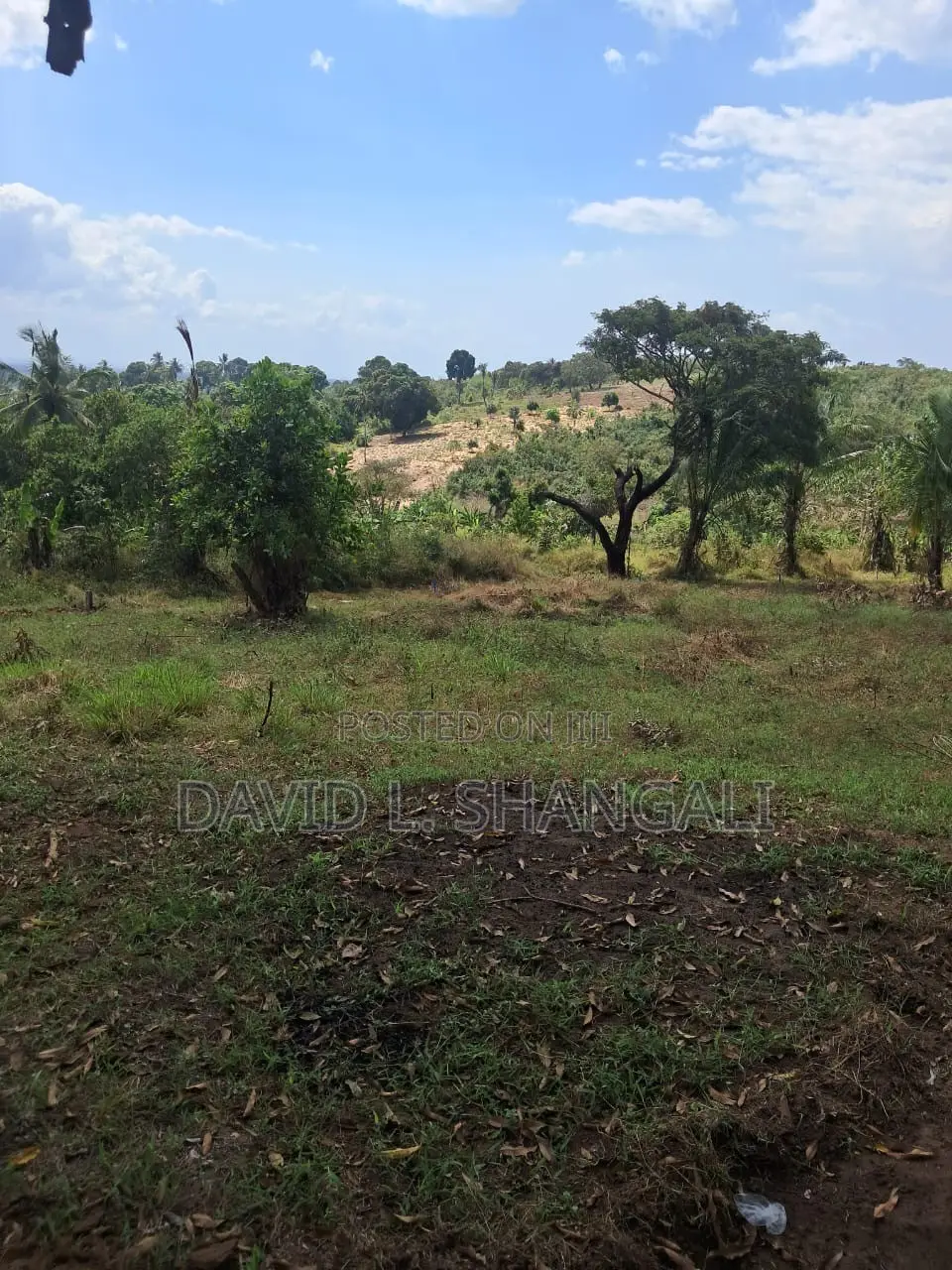 Viwanja - Kibaha - Mbwawa