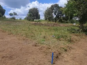 Viwanja - Kibaha - Mbwawa