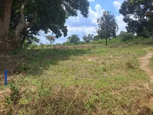 Viwanja - Kibaha - Mbwawa