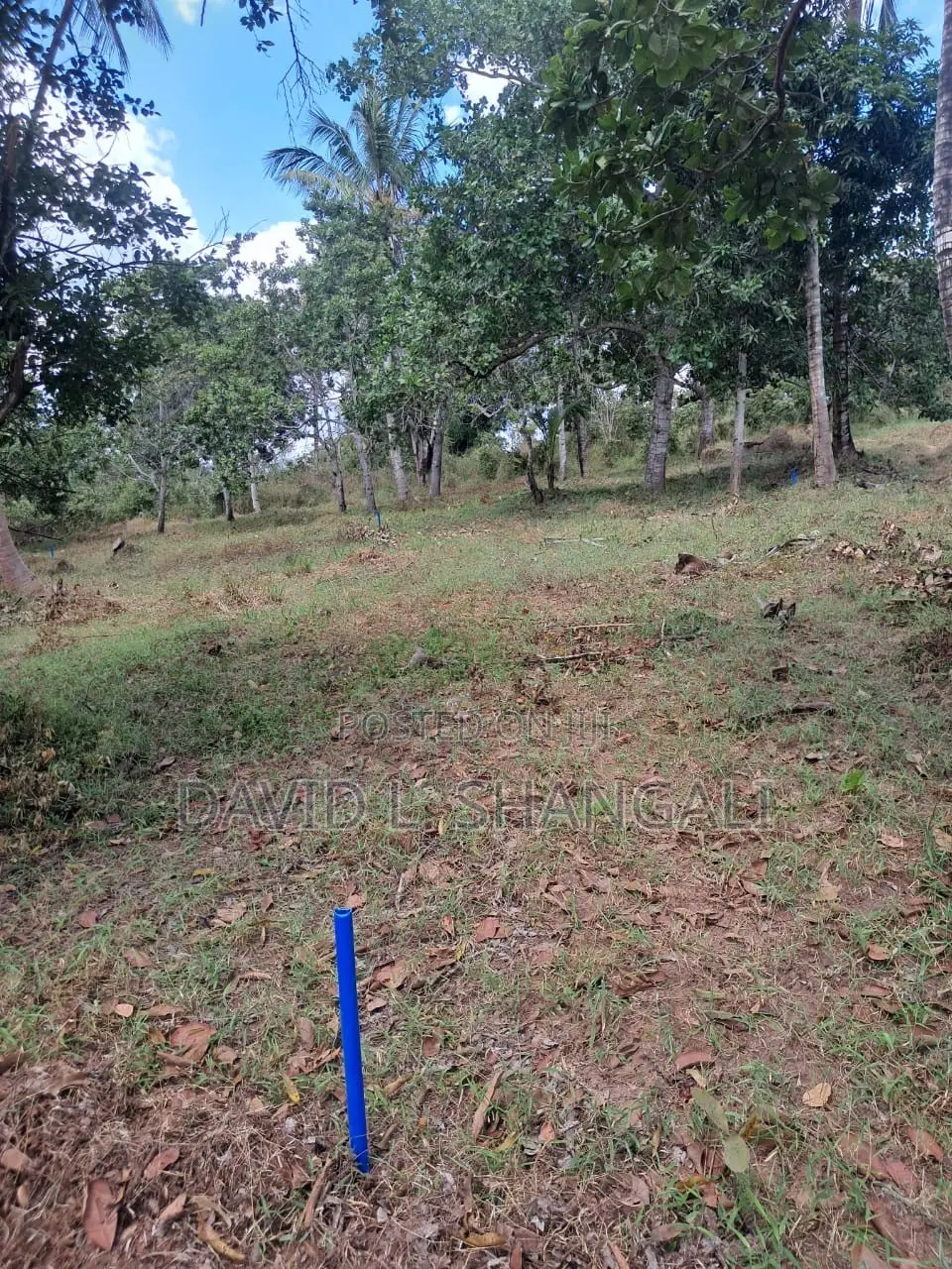 Viwanja - Kibaha - Mbwawa