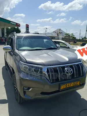 Toyota Land Cruiser Prado 2005 Gray