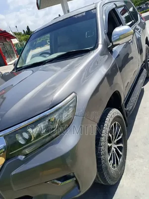 Toyota Land Cruiser Prado 2005 Gray