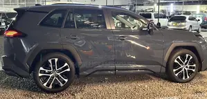 New Toyota RAV4 2026 Blue