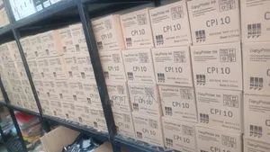 Richo Ink Cpi 10