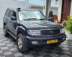 Toyota Land Cruiser 2002 Gray