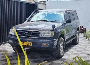 Toyota Land Cruiser 2002 Gray
