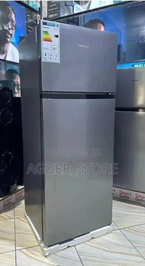 Hisense RD27 205L Double Door Refrigerator