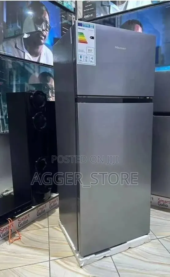 Hisense RD27 205L Double Door Refrigerator