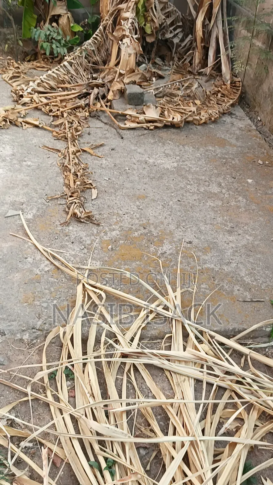 6bdrm House in Mkuyuni for sale