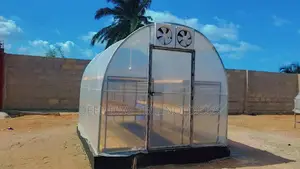 100kg Solar Greenhouse Dryer With Built-in Fans