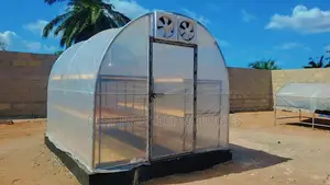 100kg Solar Greenhouse Dryer With Built-in Fans