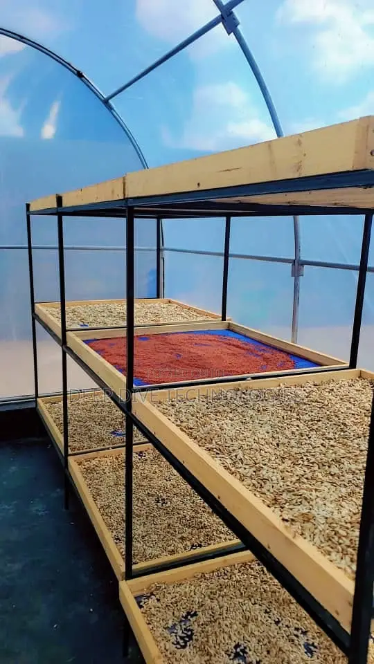 100kg Solar Greenhouse Dryer With Built-in Fans