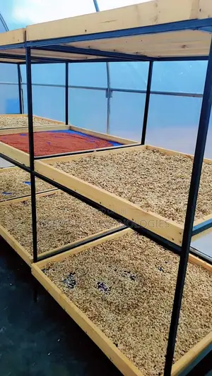 100kg Solar Greenhouse Dryer With Built-in Fans