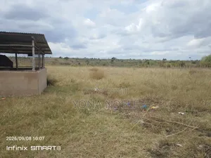 Shamba Bagamoyo