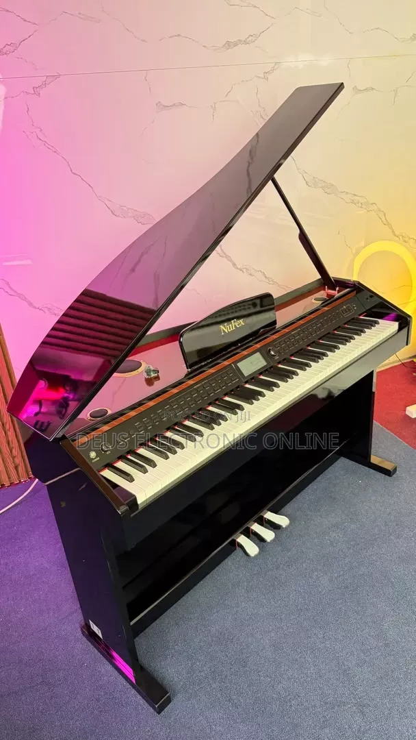 Big Piano Heavy Weight Keys and Big House