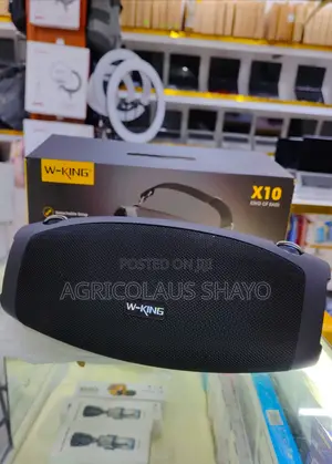 W-King X10 Wireless Speaker