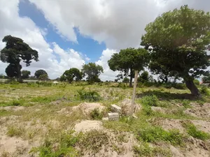 Kiwanja Kinauzwa Kigamboni Geza Ulole