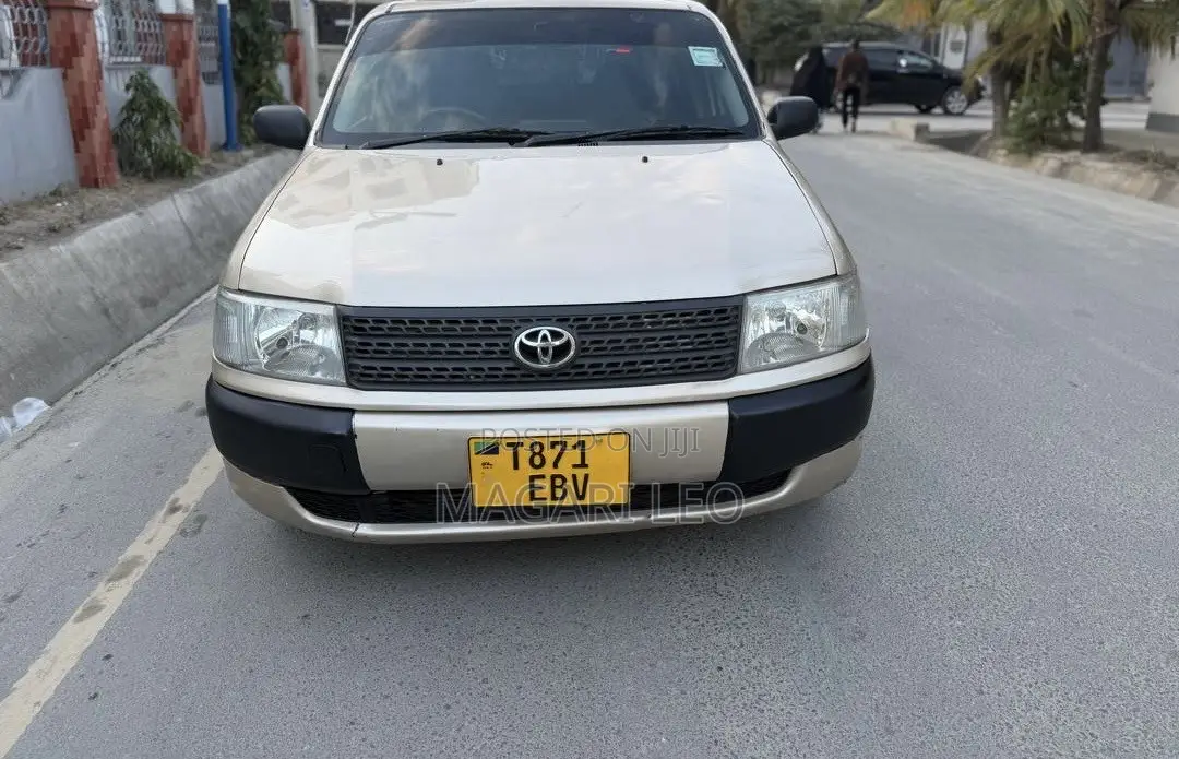 Toyota Probox 1.4 DT DX 2WD 2004 Beige