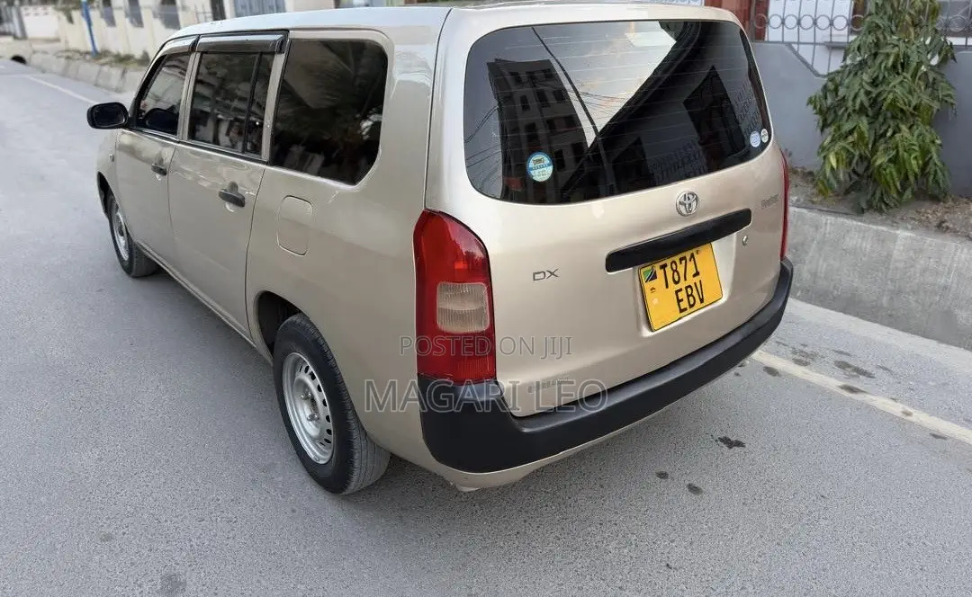 Toyota Probox 1.4 DT DX 2WD 2004 Beige