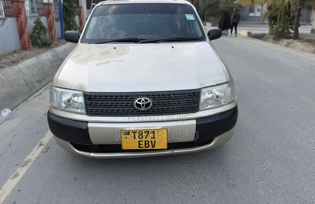Toyota Probox 1.4 DT DX 2WD 2004 Beige