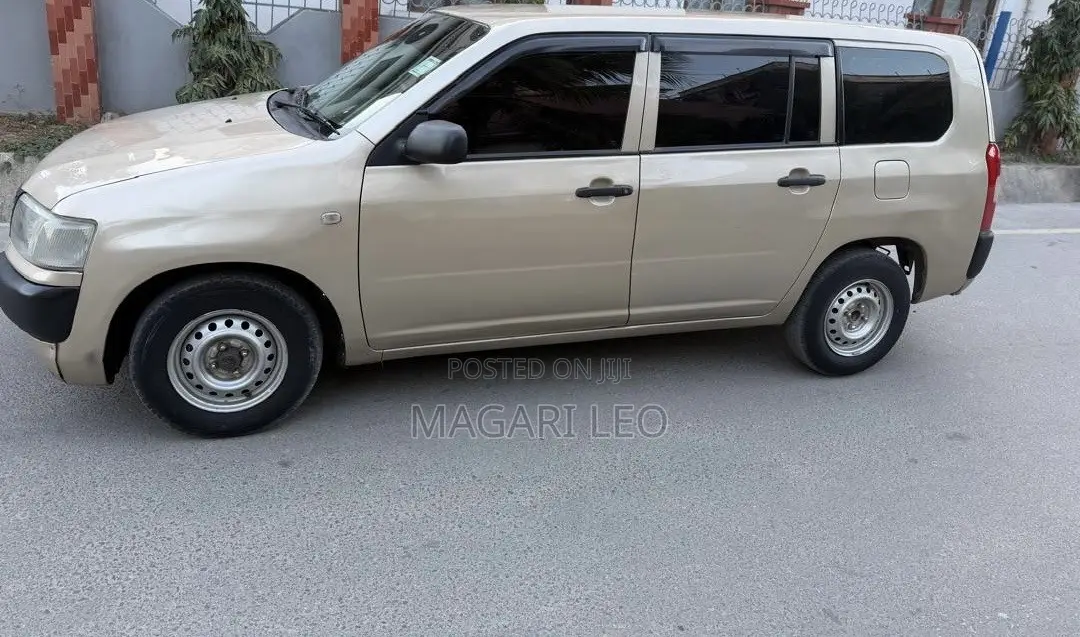 Toyota Probox 1.4 DT DX 2WD 2004 Beige