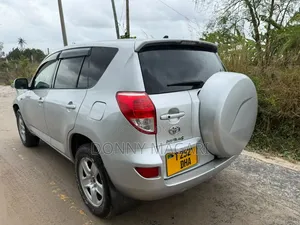 Toyota RAV4 2007 Silver