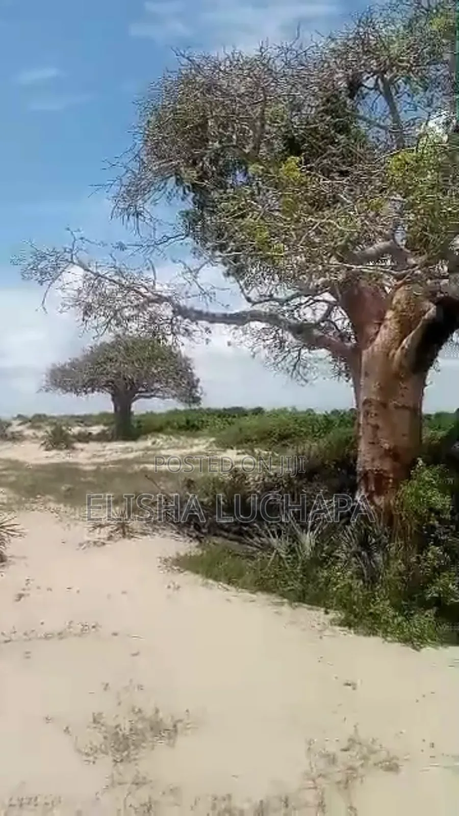 A Prime Beach Plot for Sale at Saadani