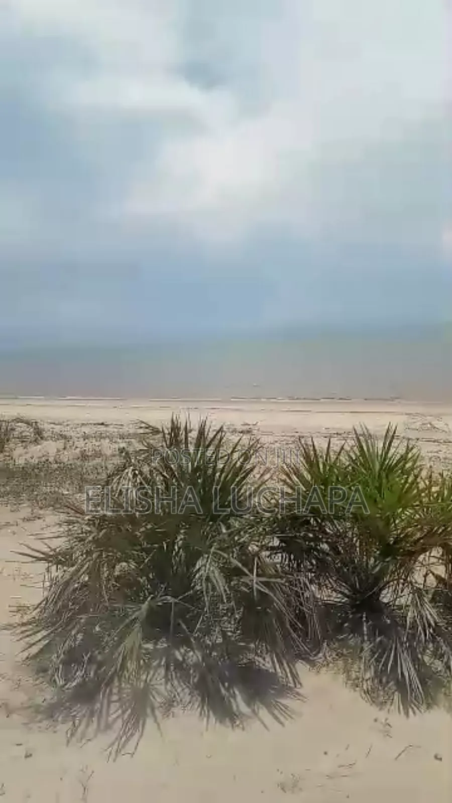 A Prime Beach Plot for Sale at Saadani