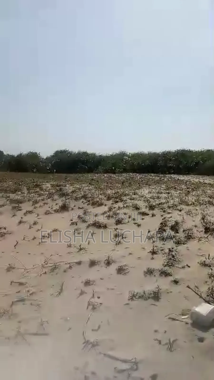 A Prime Beach Plot for Sale at Saadani