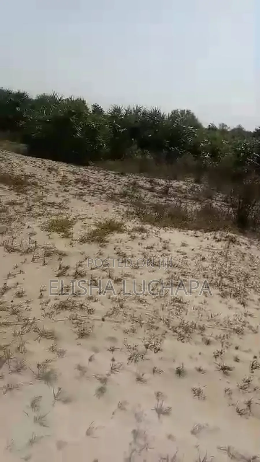 A Prime Beach Plot for Sale at Saadani