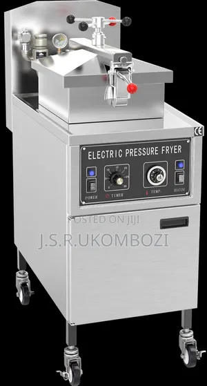*WG-XZ-24 ELECTRIC PRESSURE FRYER - Free Standing*
-