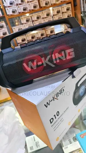 W-King D10 Outdoor Wireless Speaker